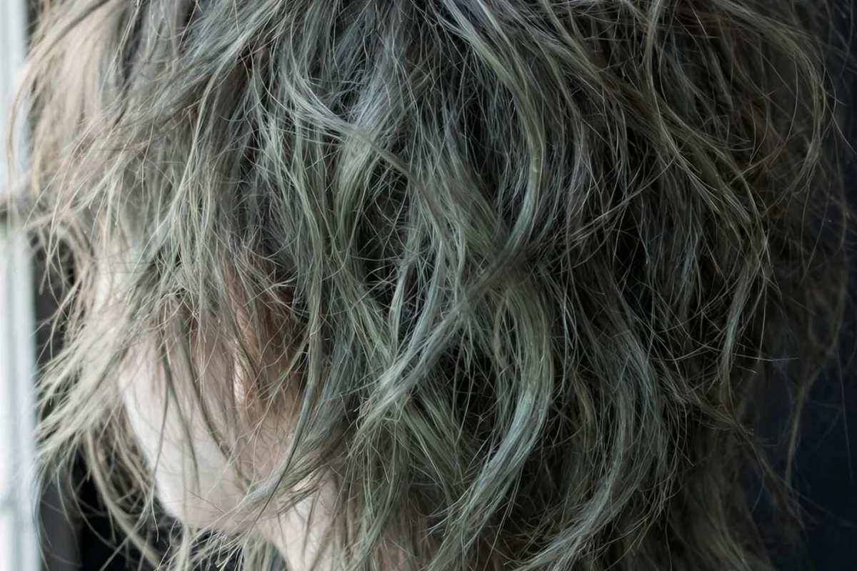 16 Halloween Hair Color Ideas: Bold Temporary Shades for 2026 14 halloween hair color ideas